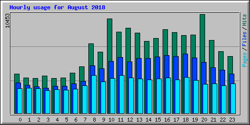 Hourly usage for August 2018